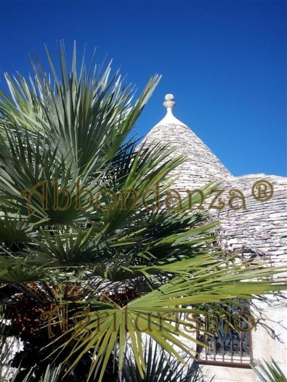 Agriturismo Abbondanza Villa Alberobello Exteriör bild